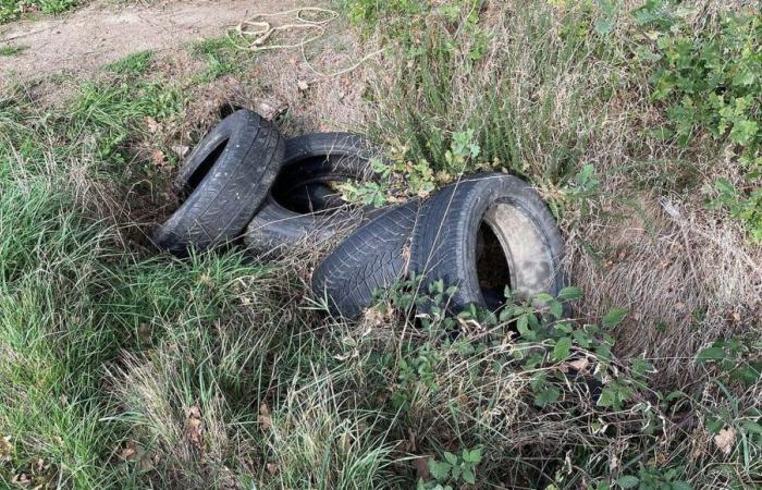 Creuse Grand Sud organiza una recogida de neumáticos usados ​​del 19 al 30 de noviembre