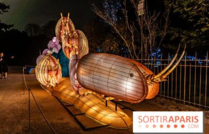 Jurásico en proceso de iluminación: el festival de luces 2024-2025 en el Jardin des Plantes – fotos