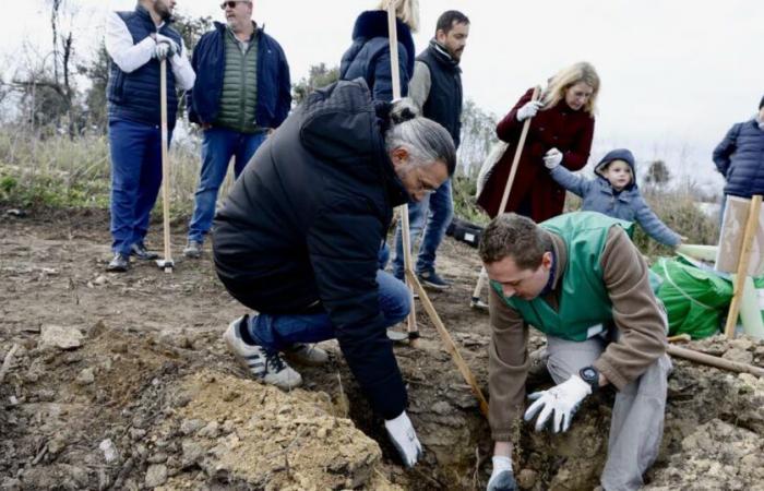 Bocas del Ródano. Glenn Viel, chef de tres estrellas, apuesta por la Montagnette devastada por el incendio