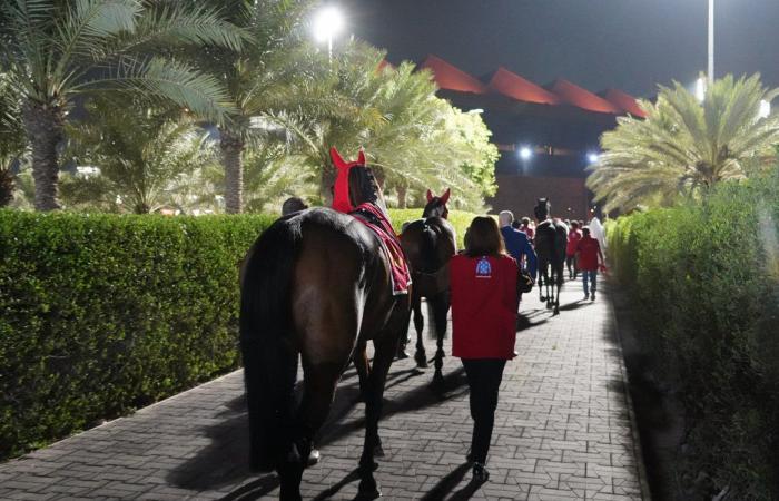 Sir Alex Ferguson gana su segundo Trofeo Internacional de Bahréin con Spirit Dancer por delante del Calif francés (3º) y Andrómeda (5º): el GRAN VIDEOREPORTAJE