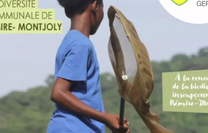 Trofeos Municipales Atlas de Biodiversidad 2024: Rémire-Montjoly (Guyana) entre las 5 comunidades ganadoras