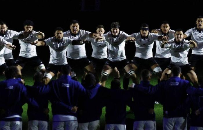 VIDEO. Imágenes del Haka de los All Blacks contra los Blues para el test match del tour de otoño