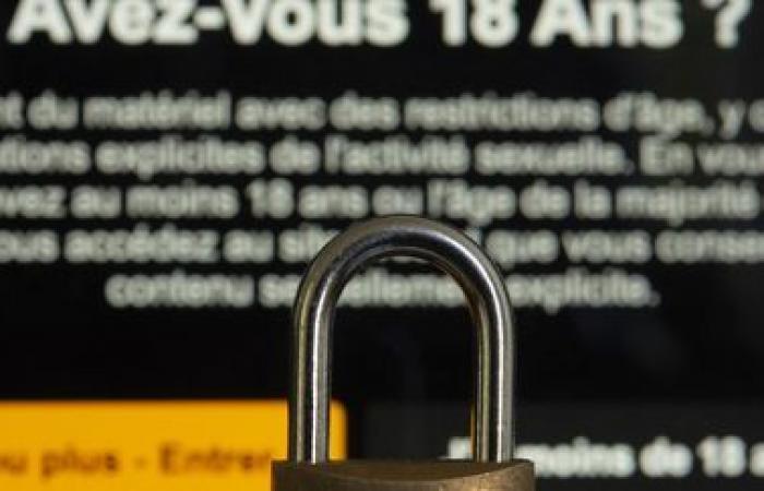 Bloquean cuatro sitios pornográficos en Francia porque no verifican la edad de sus usuarios