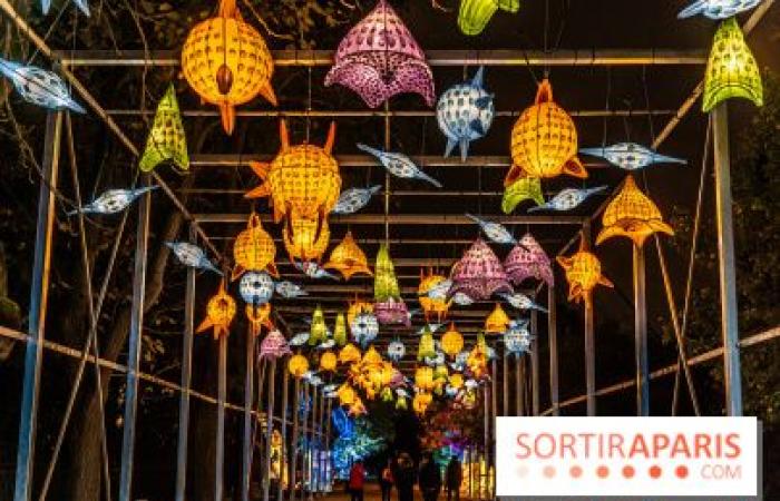 Jurásico en proceso de iluminación: el festival de luces 2024-2025 en el Jardin des Plantes – fotos