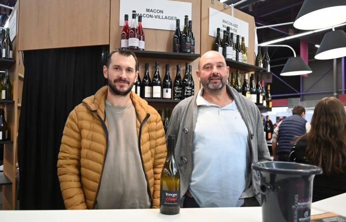 Borgoña: No hay que pagar mucho para tener buenos vinos