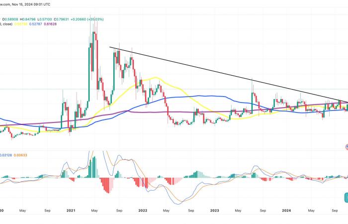 XRP supera al mercado de criptomonedas con un aumento del 17%: ¿qué está impulsando el repunte?