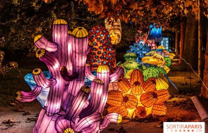 Jurásico en proceso de iluminación: el festival de luces 2024-2025 en el Jardin des Plantes – fotos