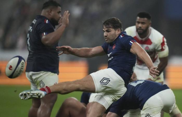 EN VIVO Francia – Nueva Zelanda: Los Blues de Antoine Dupont desafían a los All Blacks… Sigue el partido con nosotros