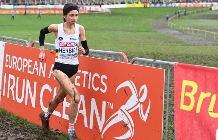 Campeonato belga de cross-country en Hulshout: la selección para la Eurocopa de Antalya se decidirá este domingo