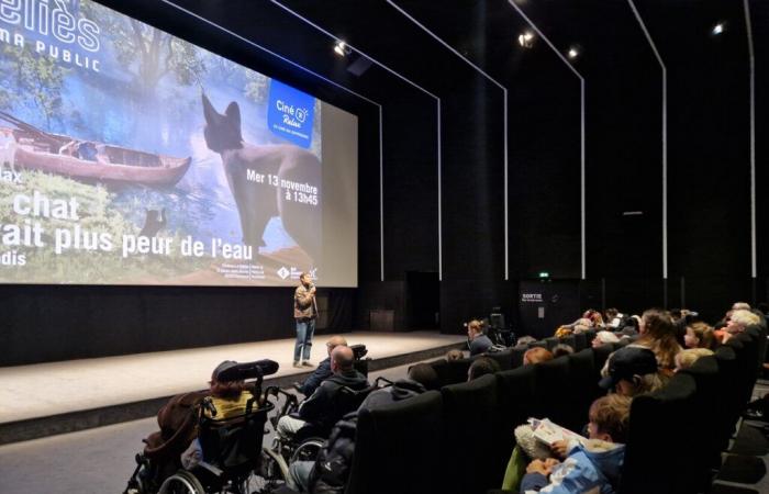 En Montreuil, proyecciones de cine adaptadas a personas con discapacidad.