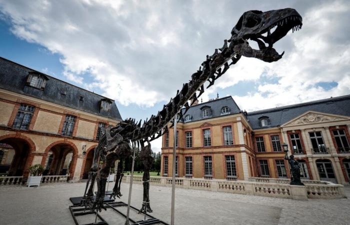 Un esqueleto de dinosaurio gigante vendido por 6 millones de euros en Yvelines