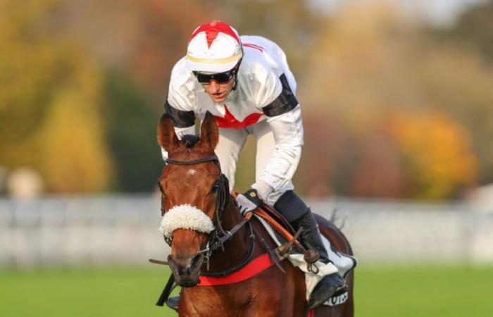 Sábado 16 de noviembre en Auteuil: nuevamente Arnaud Chaillé-Chaillé