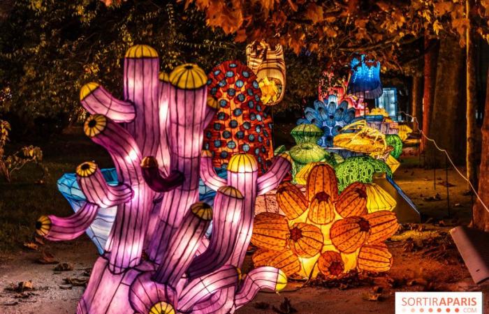 Jurásico en proceso de iluminación: el festival de luces 2024-2025 en el Jardin des Plantes – fotos