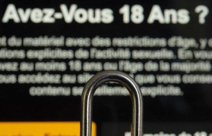 Cuatro sitios pornográficos bloqueados en Francia porque no verifican la edad de sus usuarios