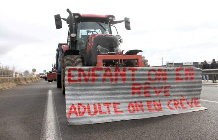 Se esperan perturbaciones en las carreteras del Bajo Rin