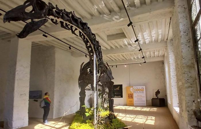 Un esqueleto de dinosaurio gigante vendido por 6 millones de euros cerca de París