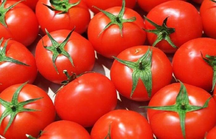 Marruecos: los precios del tomate siguen subiendo