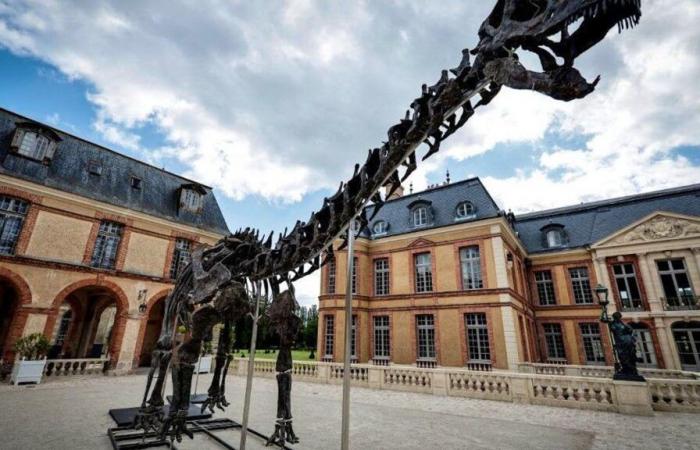 Un esqueleto de dinosaurio gigante vendido por 6 millones de euros