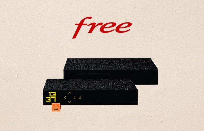 Cuando Free ofrece su oferta Freebox Revolution Light Fiber a este precio, tienes que ir a por ella