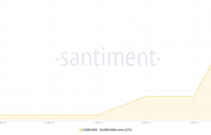 Aquí están las altcoins cripto ballenas compradas esta semana