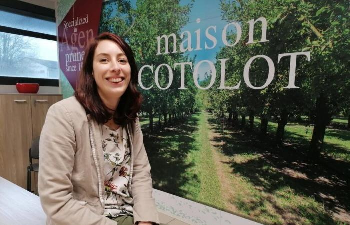 Desde Villeneuve-sur-Lot, la Maison Cotolot promociona las ciruelas pasas a nivel internacional