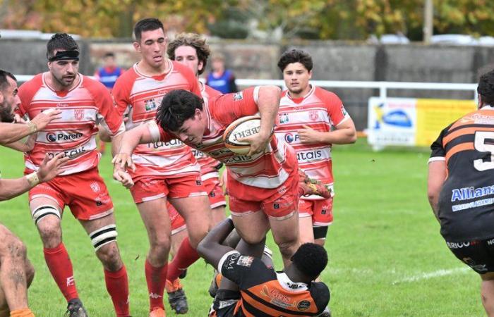 Rugby amateur – Federal 2: con la recepción de Beaumont-de-Lomagne, el Club Lombez-Samatan busca coherencia en Paul-Vignaux