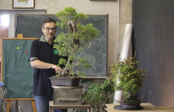 este agricultor de Dordoña es una estrella en el mundo del bonsái