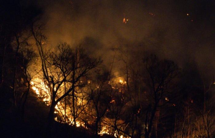 Los bomberos están más cerca de controlar el incendio forestal que cruza la frontera entre Nueva Jersey y Nueva York