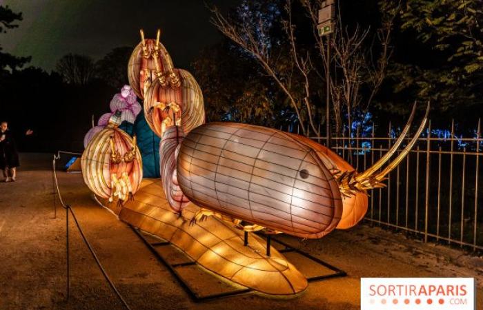 Jurásico en proceso de iluminación: el festival de luces 2024-2025 en el Jardin des Plantes – fotos