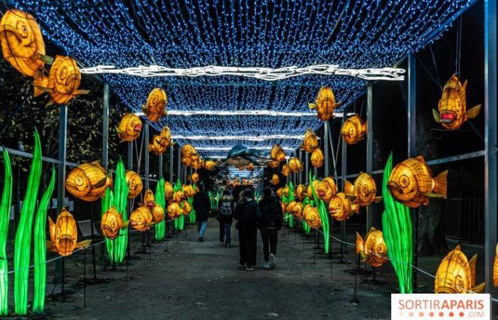 Jurásico en proceso de iluminación: el festival de luces 2024-2025 en el Jardin des Plantes – fotos