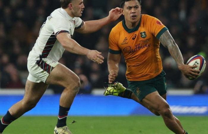 El pívot estrella de los Wallabies, Len Ikitau, interesa a los clubes franceses