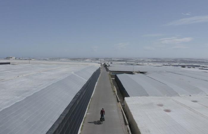 El Premio Farel aborda temas contemporáneos