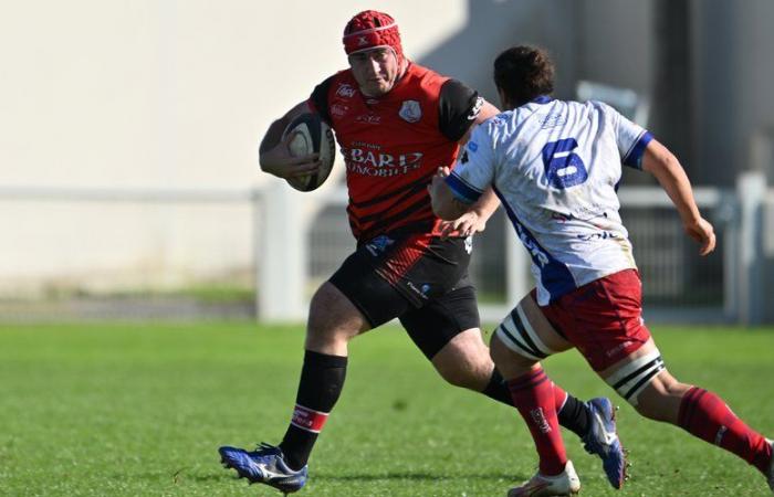 Rugby amateur – Federal 1: “Increíble lo que nuestro equipo atrae del mundo…” Líder eufórico, Gaillac en la prueba de Castelsarrasin