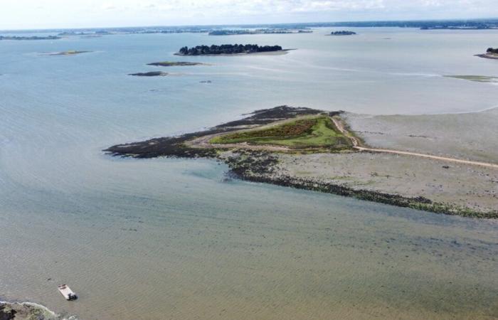 Cerca de Vannes, este pequeño rincón del paraíso sólo es accesible durante la marea baja.