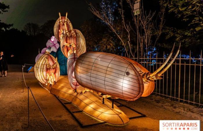 Jurásico en proceso de iluminación: el festival de luces 2024-2025 en el Jardin des Plantes – fotos