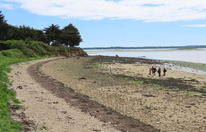 Cerca de Vannes, este pequeño rincón del paraíso sólo es accesible durante la marea baja.