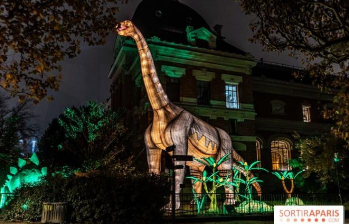 Jurásico en proceso de iluminación: el festival de luces 2024-2025 en el Jardin des Plantes – fotos