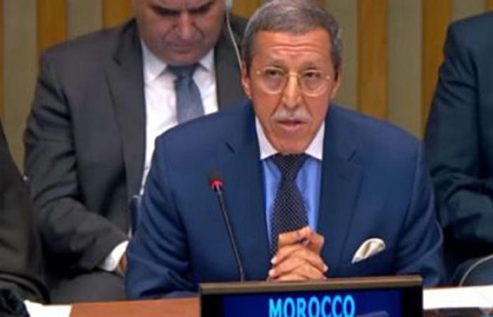 Ciencia e innovación: Omar Hilale copresidirá el Foro ECOSOC 2025