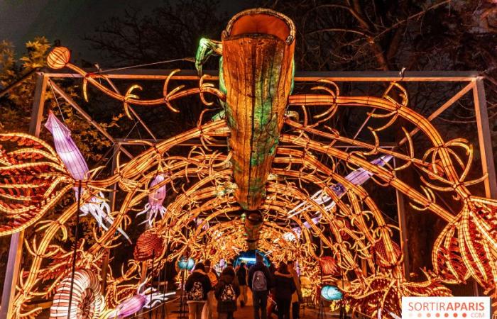 Jurásico en proceso de iluminación: el festival de luces 2024-2025 en el Jardin des Plantes – fotos