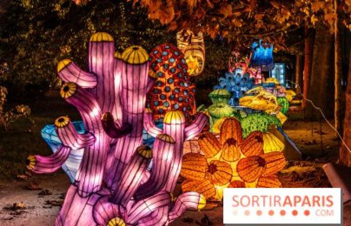 Jurásico en proceso de iluminación: el festival de luces 2024-2025 en el Jardin des Plantes – fotos