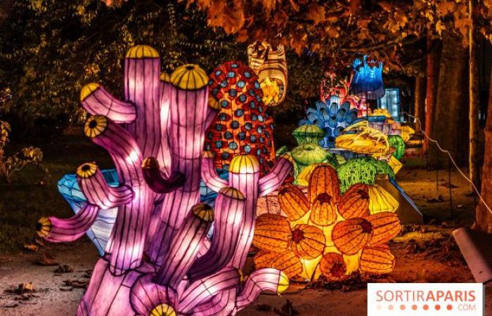 Jurásico en proceso de iluminación: el festival de luces 2024-2025 en el Jardin des Plantes – fotos