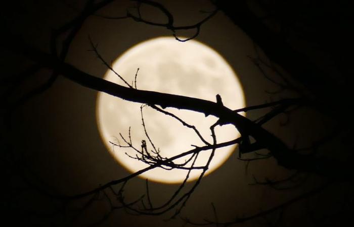 FOTOS. La última “Súper Luna” del año iluminó el cielo, un espectáculo llamativo en el firmamento nocturno