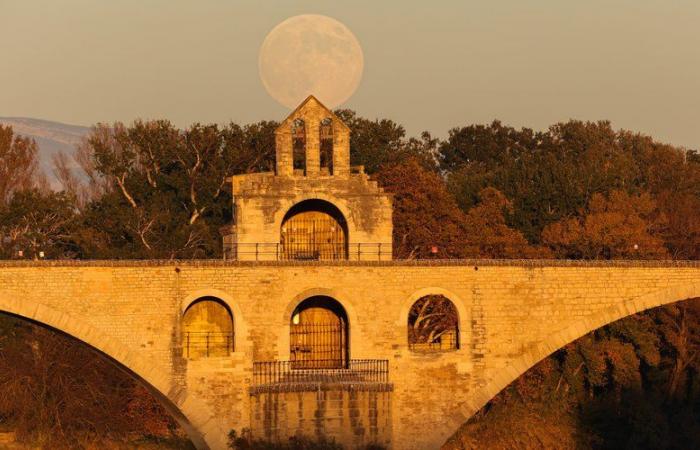 Las espléndidas imágenes de la súper Luna de Castor cuyo apogeo pudo observarse e inmortalizarse durante la noche del viernes al sábado