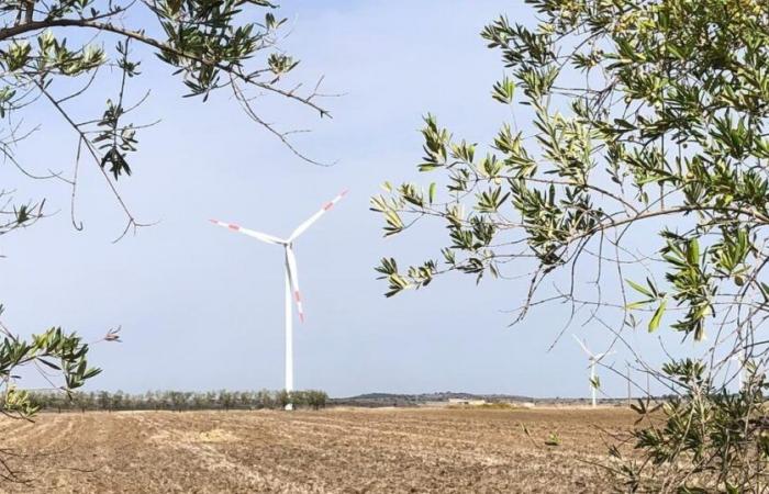 Ante la lentitud suiza, BKW confía en Italia para obtener energía eólica – rts.ch