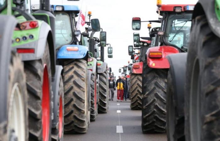 Bajo Rin. Manifestación de agricultores: dificultades de tráfico el lunes