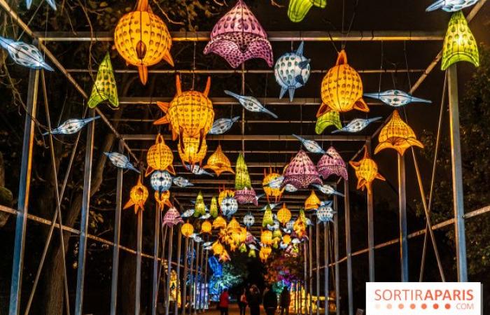 Jurásico en proceso de iluminación: el festival de luces 2024-2025 en el Jardin des Plantes – fotos