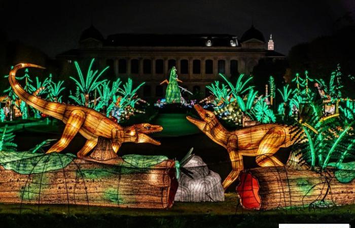 Jurásico en proceso de iluminación: el festival de luces 2024-2025 en el Jardin des Plantes – fotos