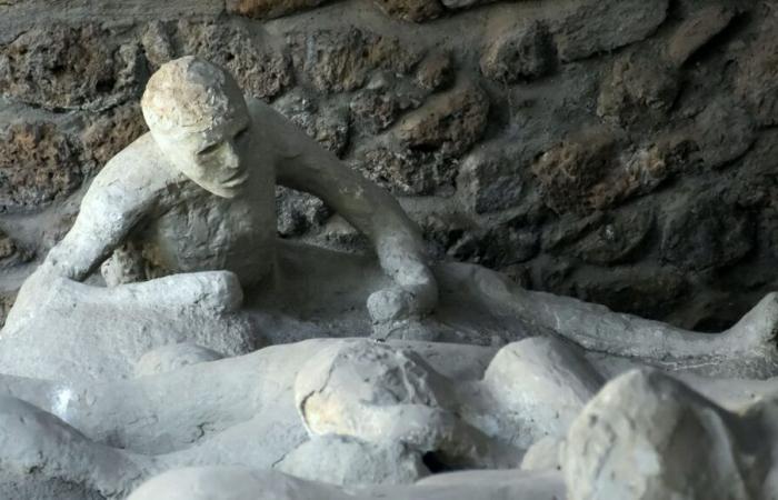 El análisis de ADN contradice las teorías sobre las víctimas de Pompeya