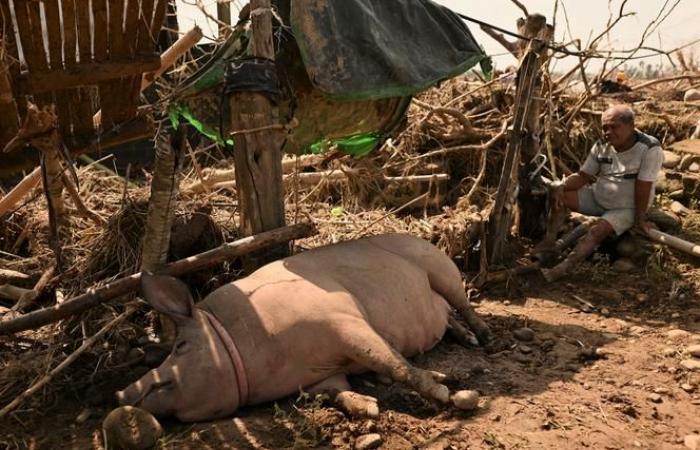 Se acerca el súper tifón Man-yi; más de 250.000 personas son evacuadas