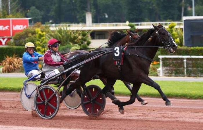 Predicción gratuita del PRIX DE PROVENCE